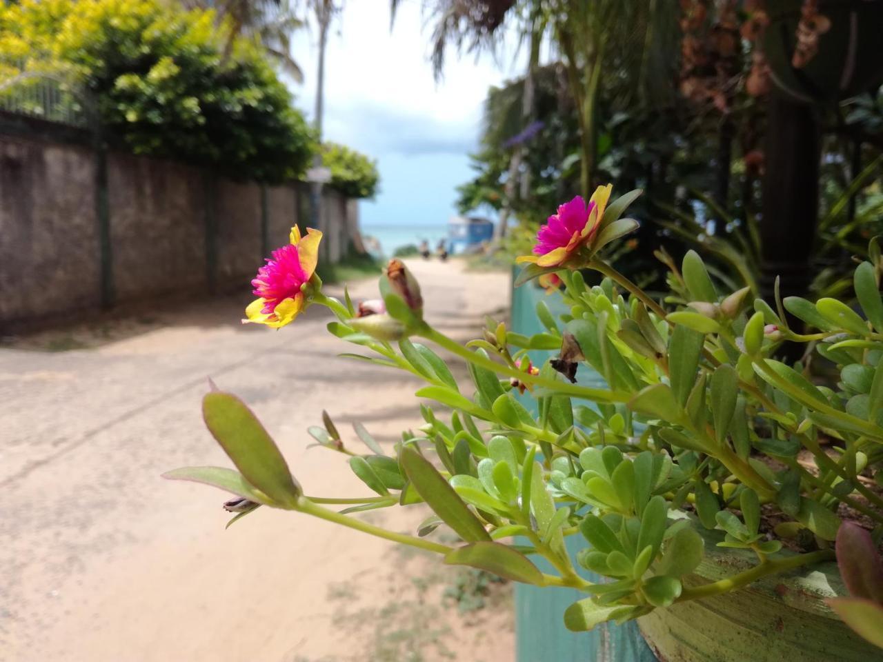 Julie Guest House Tangalle Luaran gambar